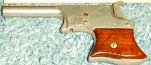 Gun Buy Back Remington 22 cal